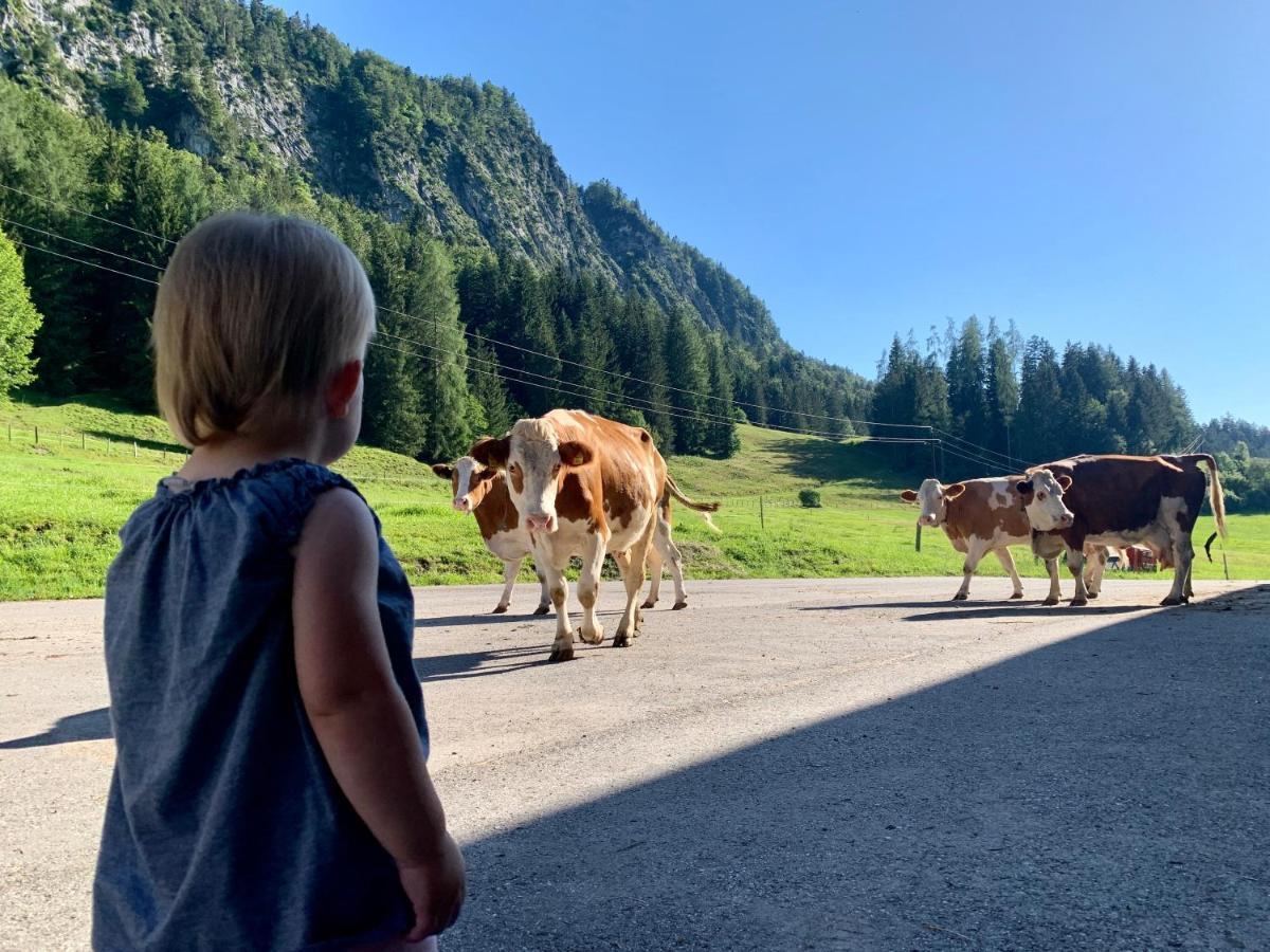 Hinterankerwald Lejlighed Walchsee Eksteriør billede