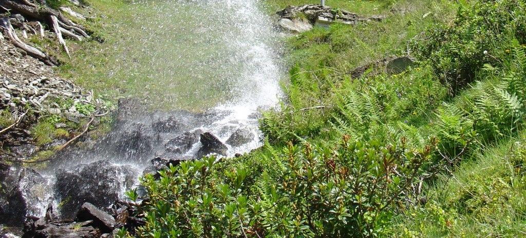 Hinterankerwald Lejlighed Walchsee Værelse billede