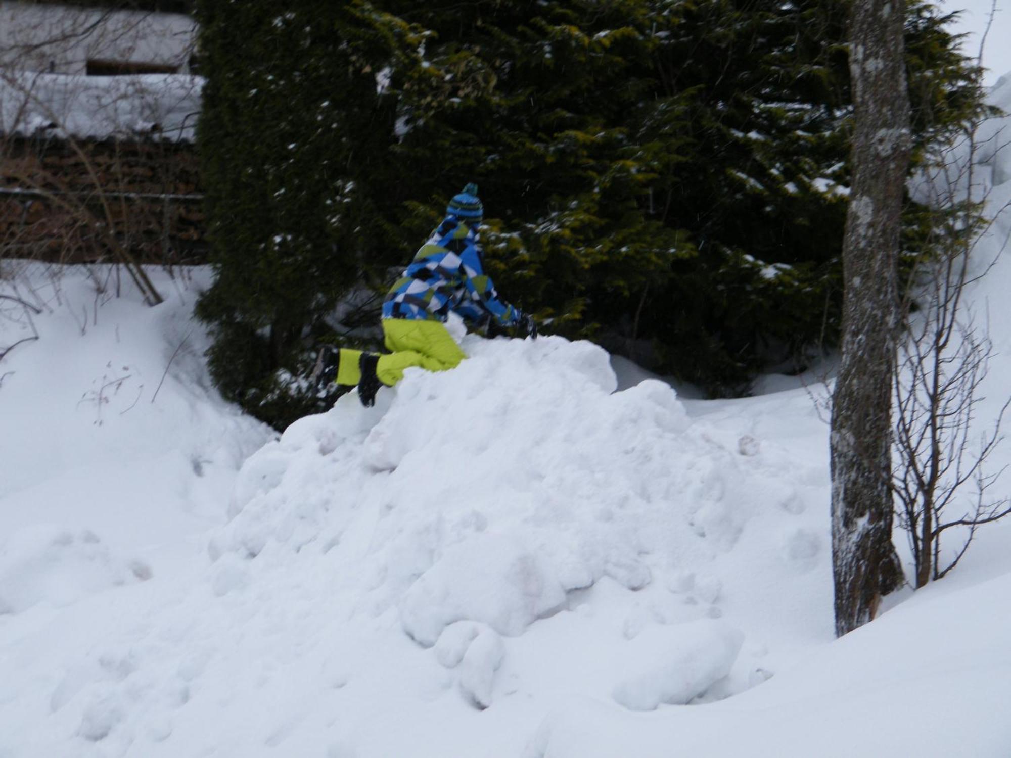 Hinterankerwald Lejlighed Walchsee Eksteriør billede