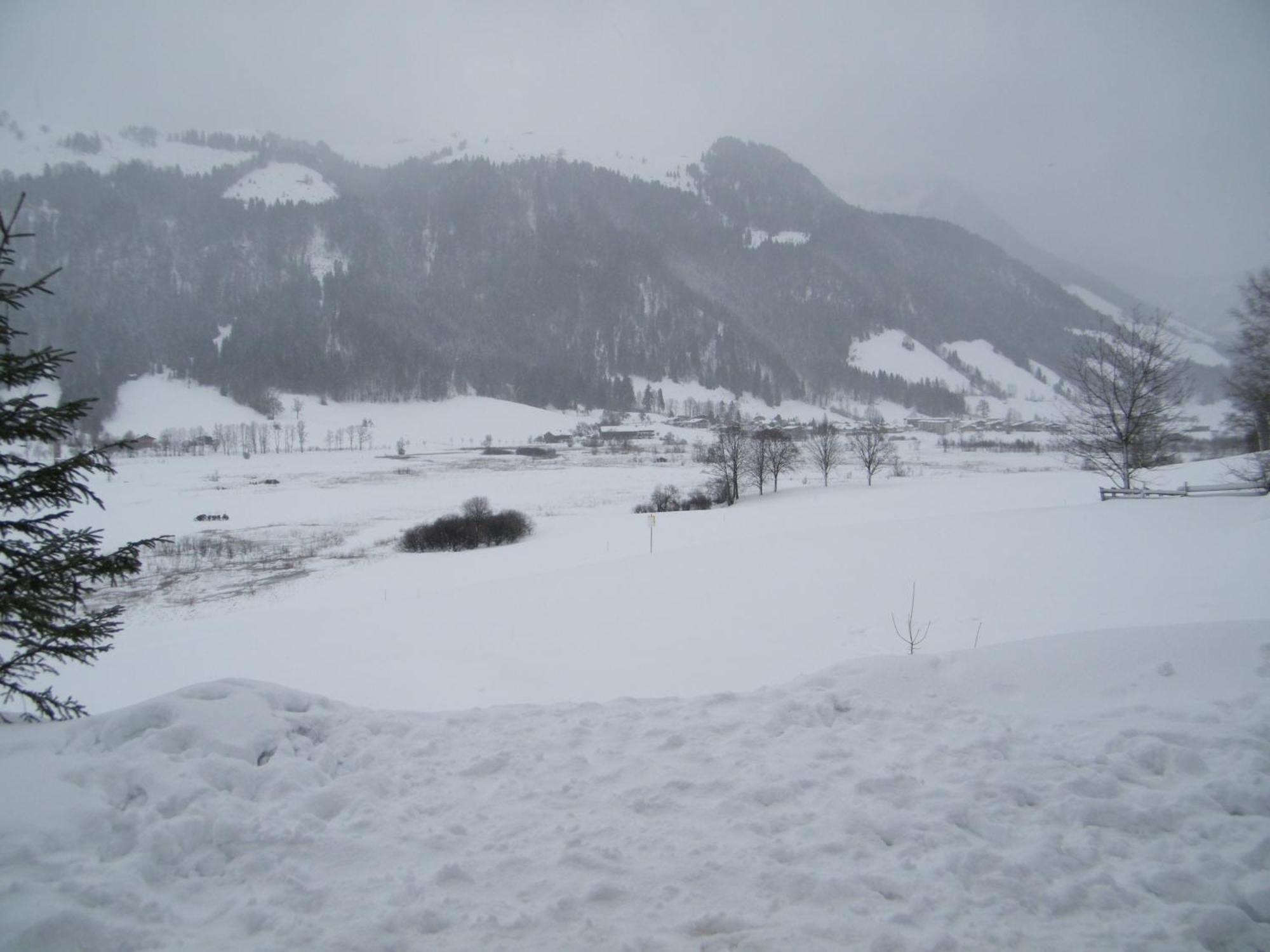Hinterankerwald Lejlighed Walchsee Eksteriør billede