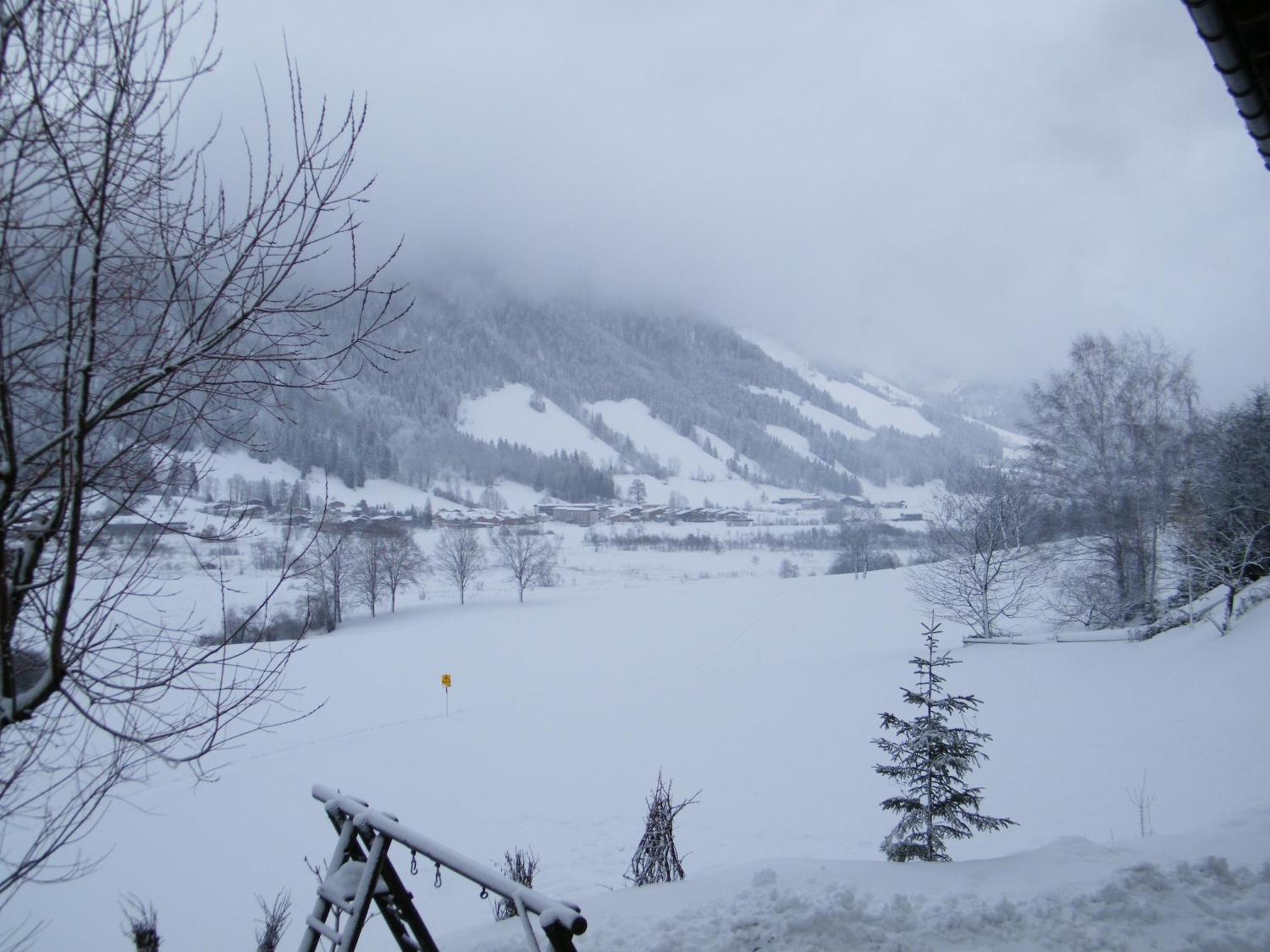 Hinterankerwald Lejlighed Walchsee Eksteriør billede