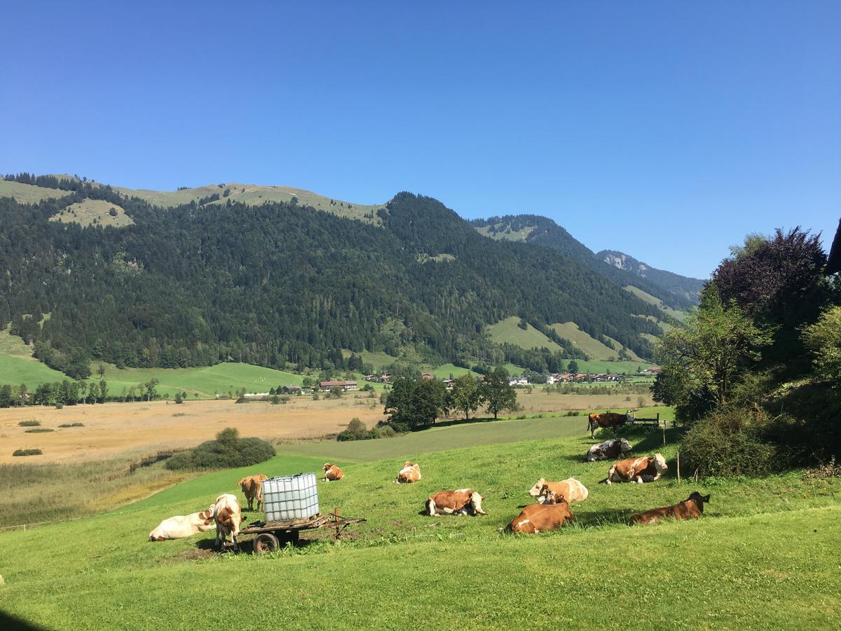 Hinterankerwald Lejlighed Walchsee Eksteriør billede